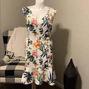 NWT Plus size Dress with Flounce Hem